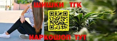 твердый Новодвинск