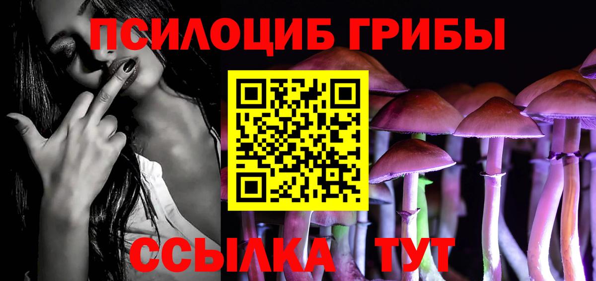купить наркотик  Вход с VPN  Псилоцибиновые грибы мухоморы  Обь  Псилоцибиновые грибы GOLDEN TEACHER 